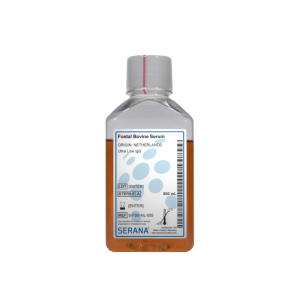https://ongenmedikal.com/wp-content/uploads/2021/08/Foetal-Bovine-serum-Ultra-Low-IgG-S-FBS-NL-055-300x300.png