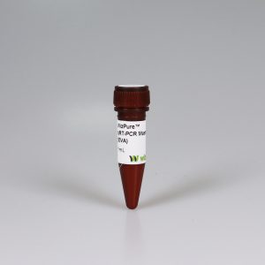 https://ongenmedikal.com/wp-content/uploads/2021/08/WizPure™-qRT-PCR-Master-EVA-300x300.jpg